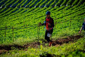 BIB: 9344, 
                            <button type="button" onclick="openModal(19160501)" class="btn btn-primary btn-sm float-right btn-popup" data-toggle="modal" data-target=".modal-high-quality">
                        <i class="fas fa-shopping-cart"></i> Add to Cart
                    </button>
                                            <button type="button" onclick="isThisMe(19160501, true)" class="btn btn-success btn-sm float-right btn-popup btn-isme hidden" data-toggle="tooltip" data-placement="bottom" title="นี่คือรูปของคุณใช่ไหม คลิกที่นี่เพื่อเอาเข้าอัลบั้ม">
                        <i class="fas fa-plus"></i> Add to album
                    </button>
                    <button type="button" onclick="isThisMe(19160501, false)" class="btn btn-warning btn-sm float-right btn-popup btn-isnotme hidden">
                        <i class="fas fa-ban"></i> Remove from album
                    </button>